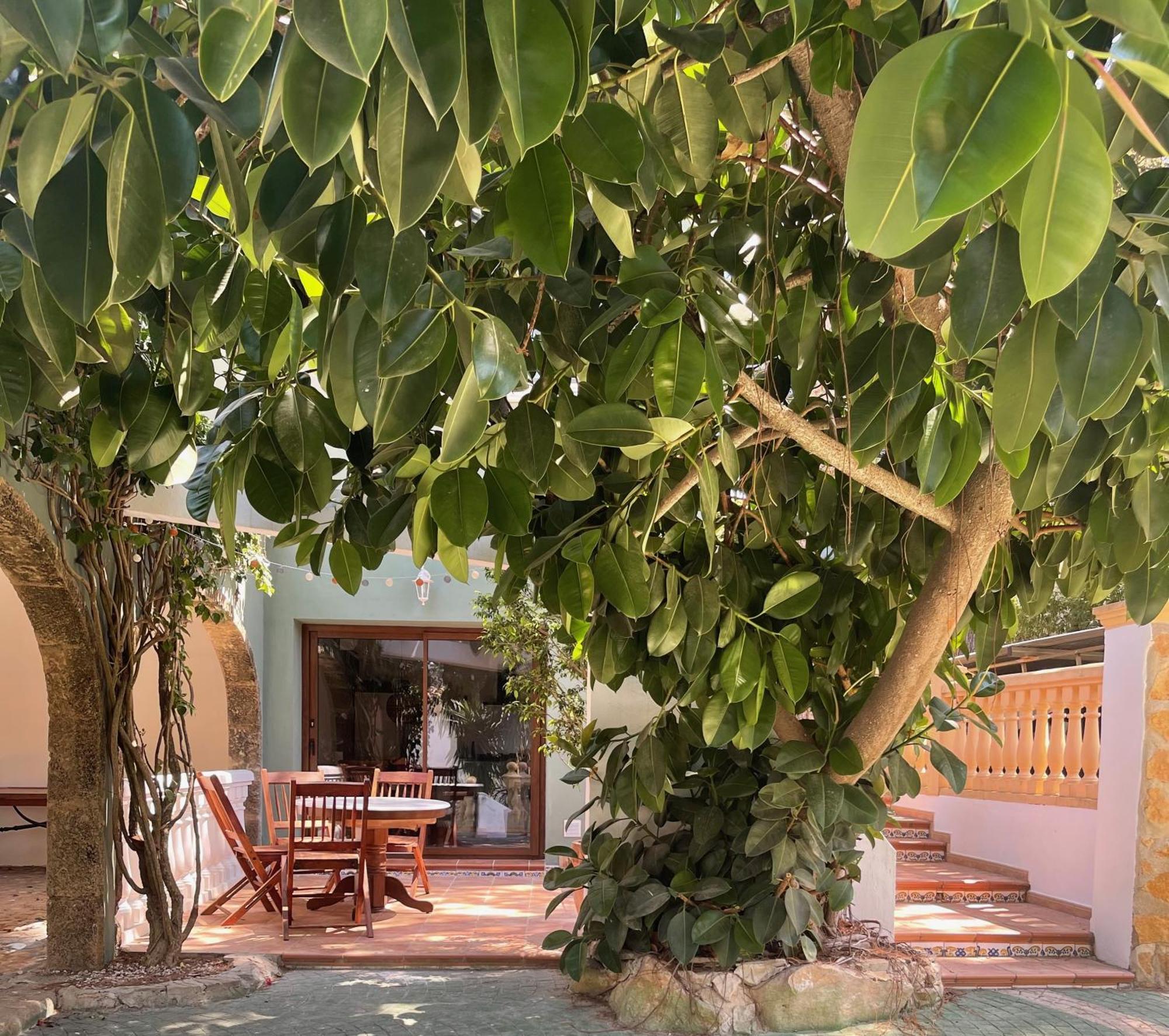 La Posada Paradiso 哈维亚 外观 照片